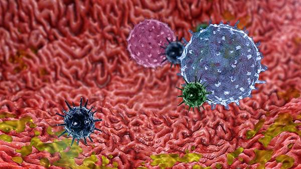 脂肪肝的原因是什么？如何才能摆脱脂肪肝？