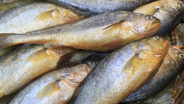 男子体检血中抽出2升油浆 哪些食物被称为高血脂的“加速器”？