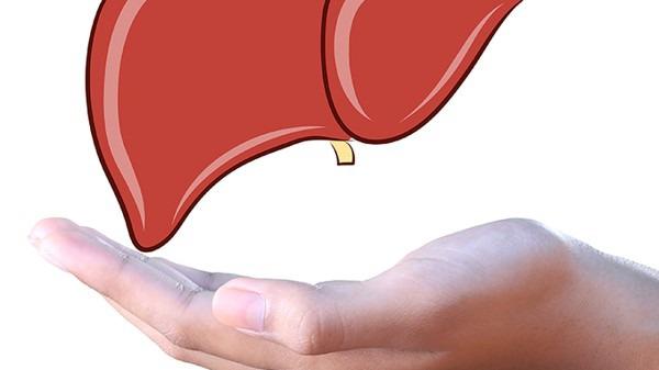 怎样可以补肝?补肝3大实用食谱中医2护肝
