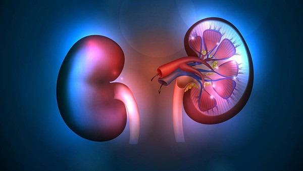 飞机打多了肾虚怎么调理 肾虚吃什么东西补得快