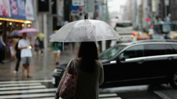 本轮疫情动态地图已出炉 波及7省但疫情来源仍旧不详