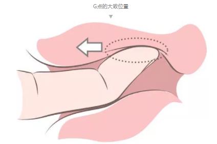 如何自w到高c手法,体验自己高C过程
