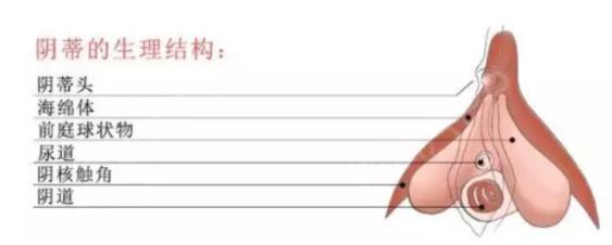 男朋友突然会按我的小痘痘了,男朋友按小豆豆为什么会抖