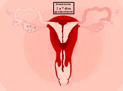 男生说里面很烫是什么意思?女孩子的里面都很温暖吗