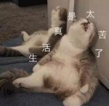 老公一次能做一个小时，每天晚上都折腾到半夜是什么体验