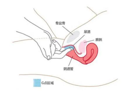 每个女生都有g点吗,怎么找到自己的G点教程图片
