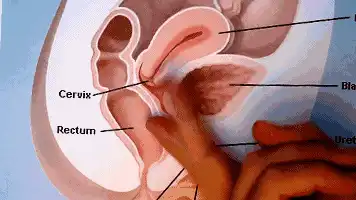 为什么男生总是手先进去扣，你们对象怎样抠你们的