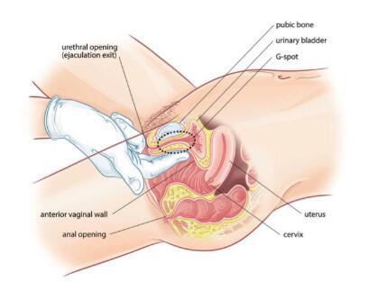 为什么男生总是手先进去扣，你们对象怎样抠你们的