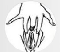 女生请进，20招教你揉豆豆