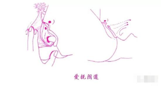 让她高潮迭起的口爱技巧