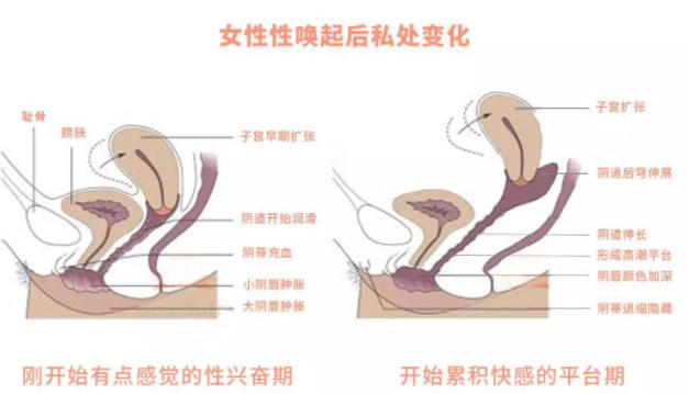 个子矮下面是不是浅?个子小的女生那里也小吗