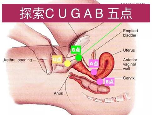 女朋友技术好是一种什么体验