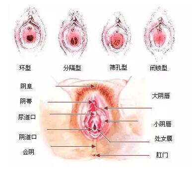 女生第一次到底是什么感觉，成年人聊聊第一次的感受！