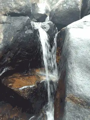 女孩子起生理反应是什么样的