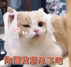 怎么玩C点?快速获得C点糕潮的7大指法