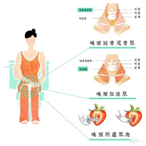 女生学会这几招，夹得老公嗷嗷叫