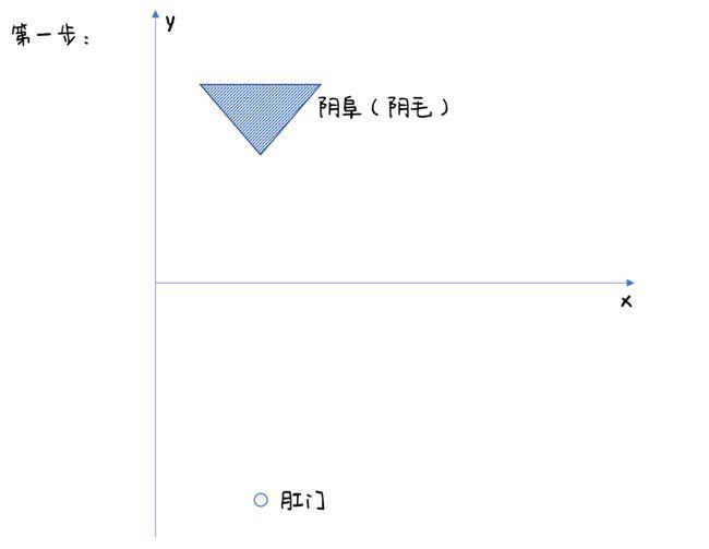 女生的私处,到底长什么样?(高清无码图)