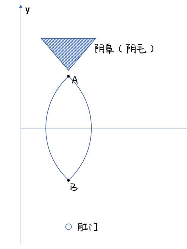 女生的私处,到底长什么样?(高清无码图)