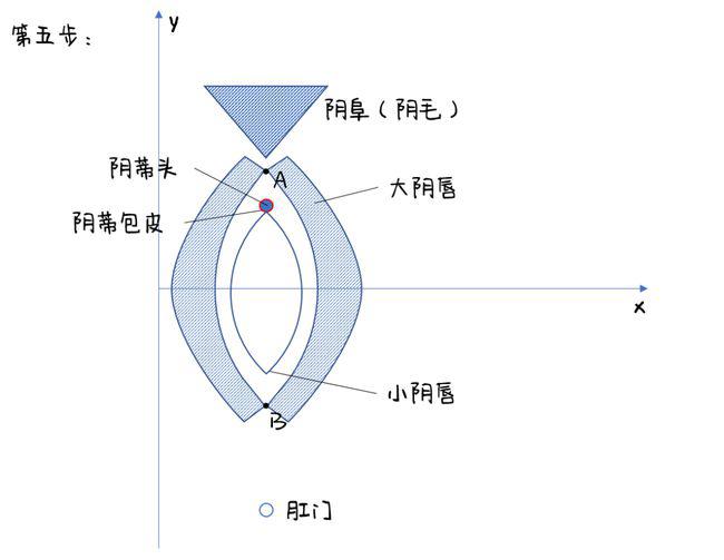 女生的私处,到底长什么样?(高清无码图)