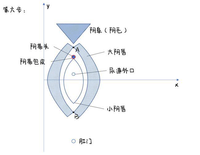 女生的私处,到底长什么样?(高清无码图)