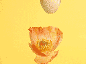 女生自己gc最快的办法