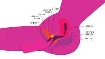 男生为什么喜欢从后面，从后面跟前面有什么不同