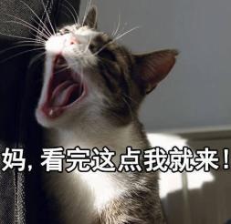 男朋友说“你越叫我就越有感觉”是为什么？