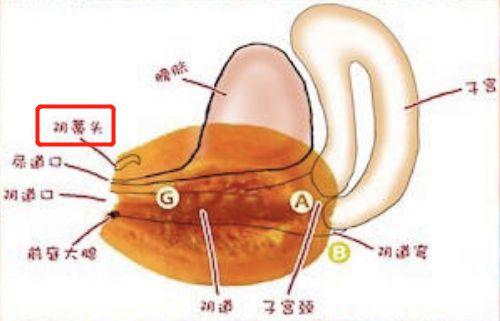 多重高潮到底是一种怎样的体验
