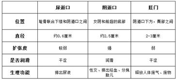 第一次怎么找到正确位置?处男第一次必看实用教程