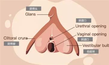 第一次怎么找到正确位置？处男第一次必看实用教程