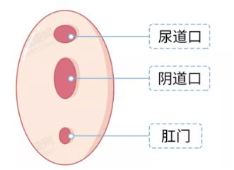 第一次啪男朋友说找不到入口,男朋友找不到位置怎么办
