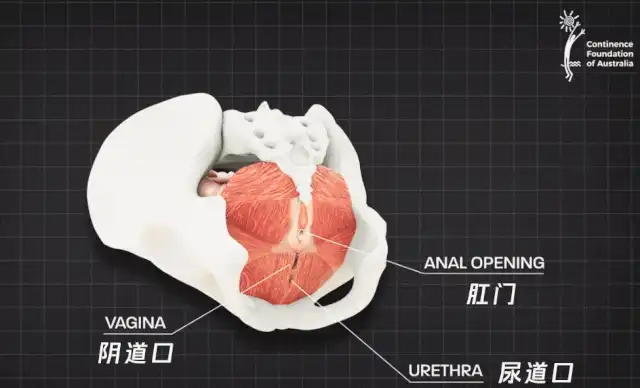 第一次进不去好像一堵墙怎么办？试了好几次都进不去