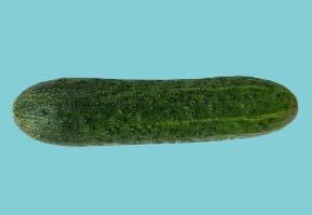 家里可以用来安慰自己的东西，家里什么东西可以当器具