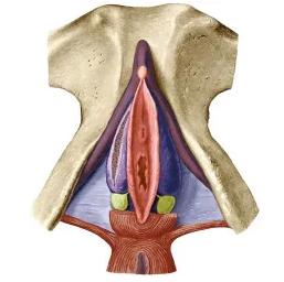 明明很想却没有水？教你一招让自己湿到流水！