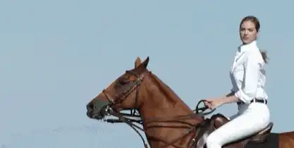 女上位是左右摆动还是上下摆动，在上面怎么动的教程动图