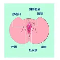 女生的那东西为什么好丑,女生底下为什么那么丑