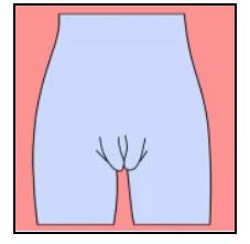 女生的那东西为什么好丑,女生底下为什么那么丑