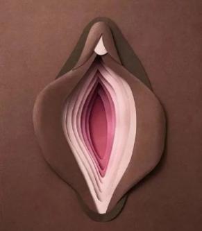 女生的那东西为什么好丑,女生底下为什么那么丑
