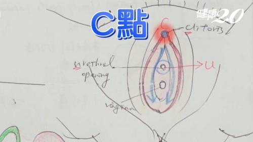 女性a点和u点位置图解,让女人高潮的开关有4个点