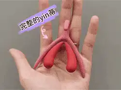 女生的小豆豆到底啥样？