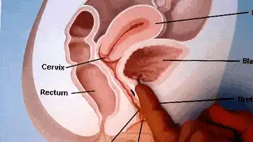 怎么让自己下面喷水