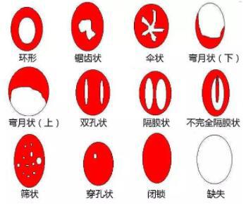 进了一个头算做过了吗