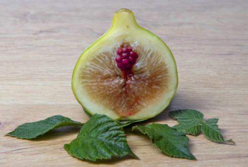 用嘴让女人高潮技巧 男人为女人口爱必学的8招技巧