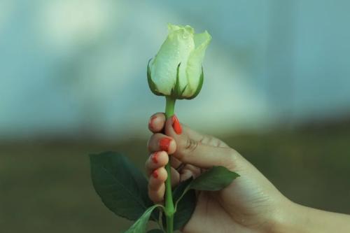 顶到花芯是什么感受？这一篇纯科普文