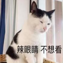 男生给你看他下面的照片是什么意思