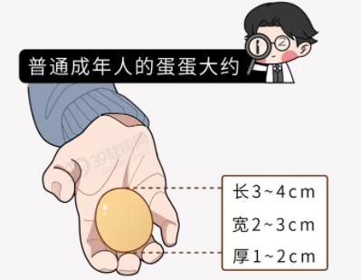 飞机打多了睾丸变小能恢复吗