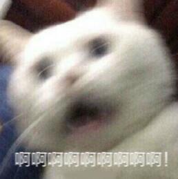 叫床时骚一点的词语