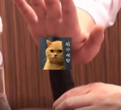 如何降低龟兔的敏感度训练