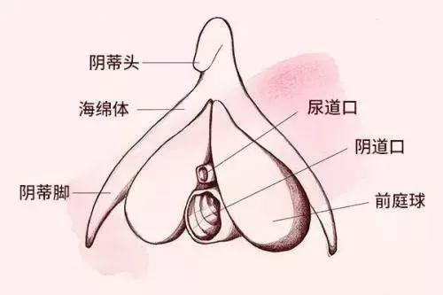 女人身上的敏感地带，你知道多少