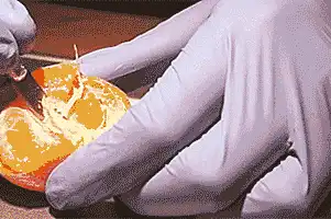 蝴蝶比和一条线哪个好？蝴蝶型好还是一条线好